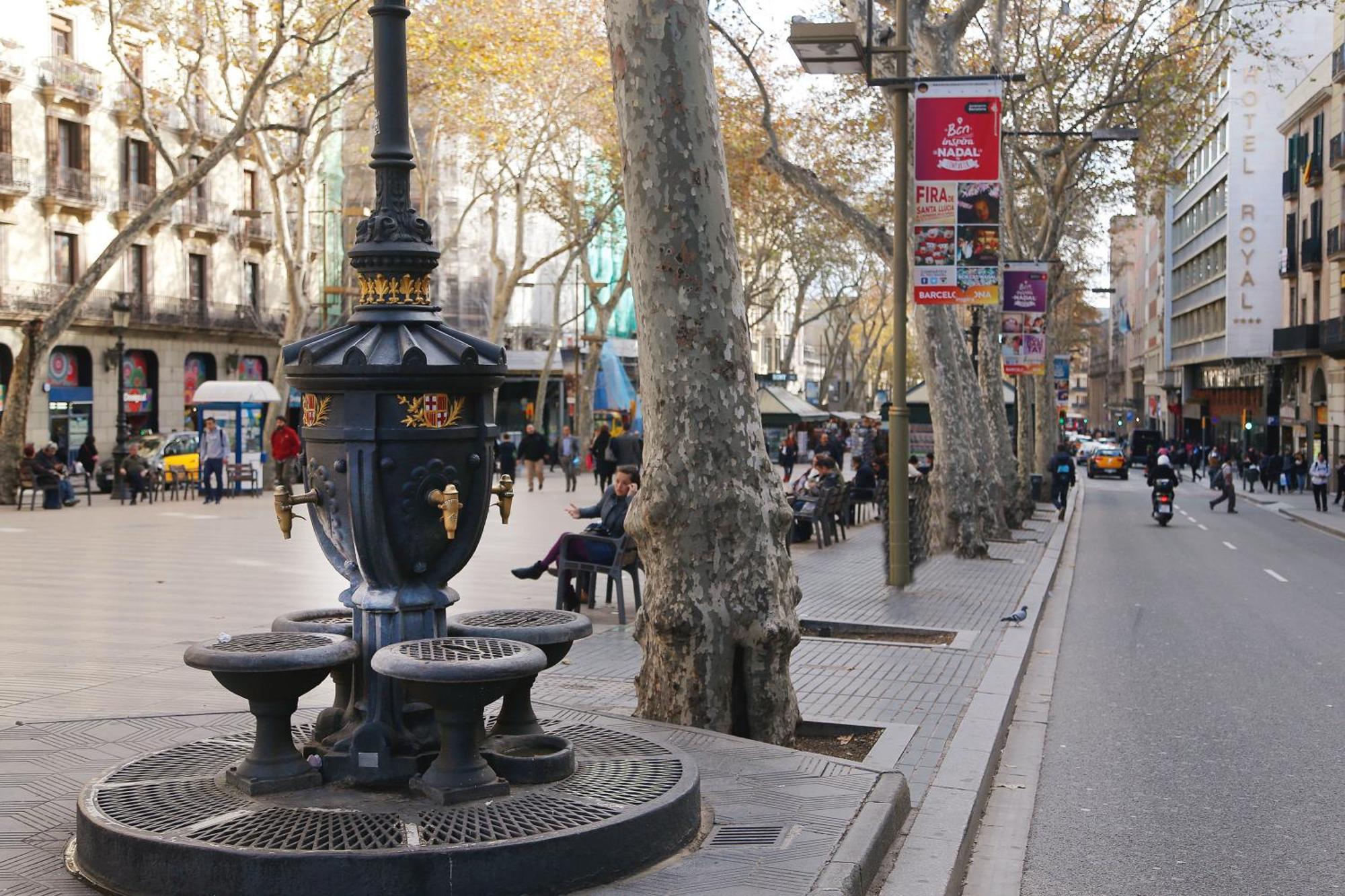 Royal Ramblas — Photos 3